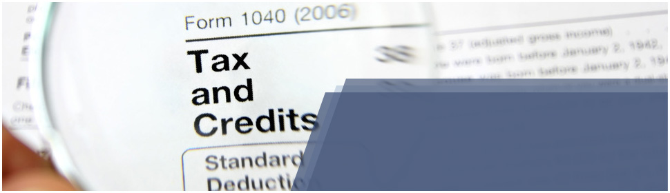 Individual Income Tax Filing Help | Hilo, HI | Hilo Income Tax Service | 808-935-6545	